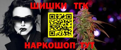 СК Кингисепп