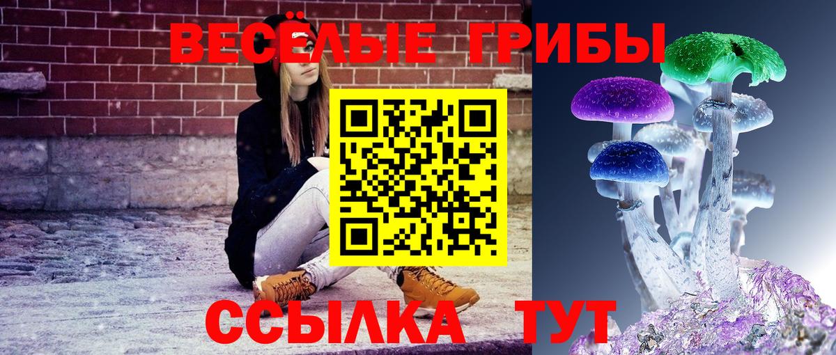 Псилоцибиновые грибы мицелий  Вход с VPN  Псилоцибиновые грибы прущие грибы  Бузулук 